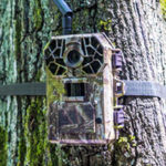 Proč se vyplatí sáhnout po 4G LTE fotopasti