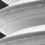 Jíte rádi sladké a bolí vás kvůli tomu zuby?