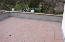 organicke necistoty galerie unsmushed