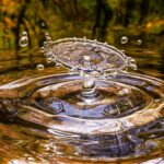 Efektivní zavlažovací systém v podobě kapkové závlahy