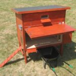 Tipy pro začínající chovatele: Nejčastější chyby při krmení slepic a na co si dát pozor